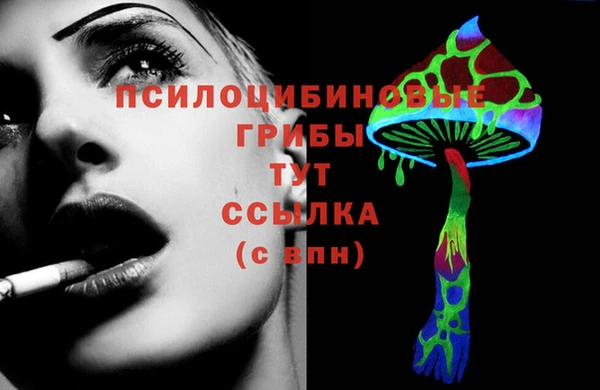 mdma Каменка