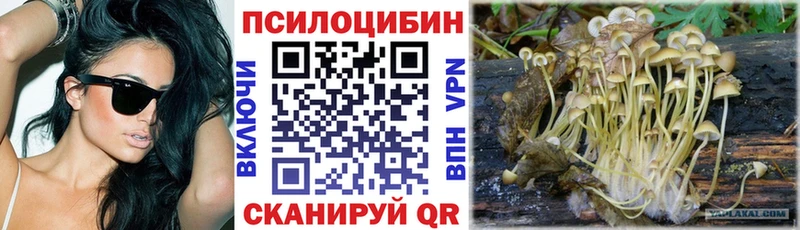 Купить закладки  Советский  Псилоцибиновые грибы Psilocybine cubensis 